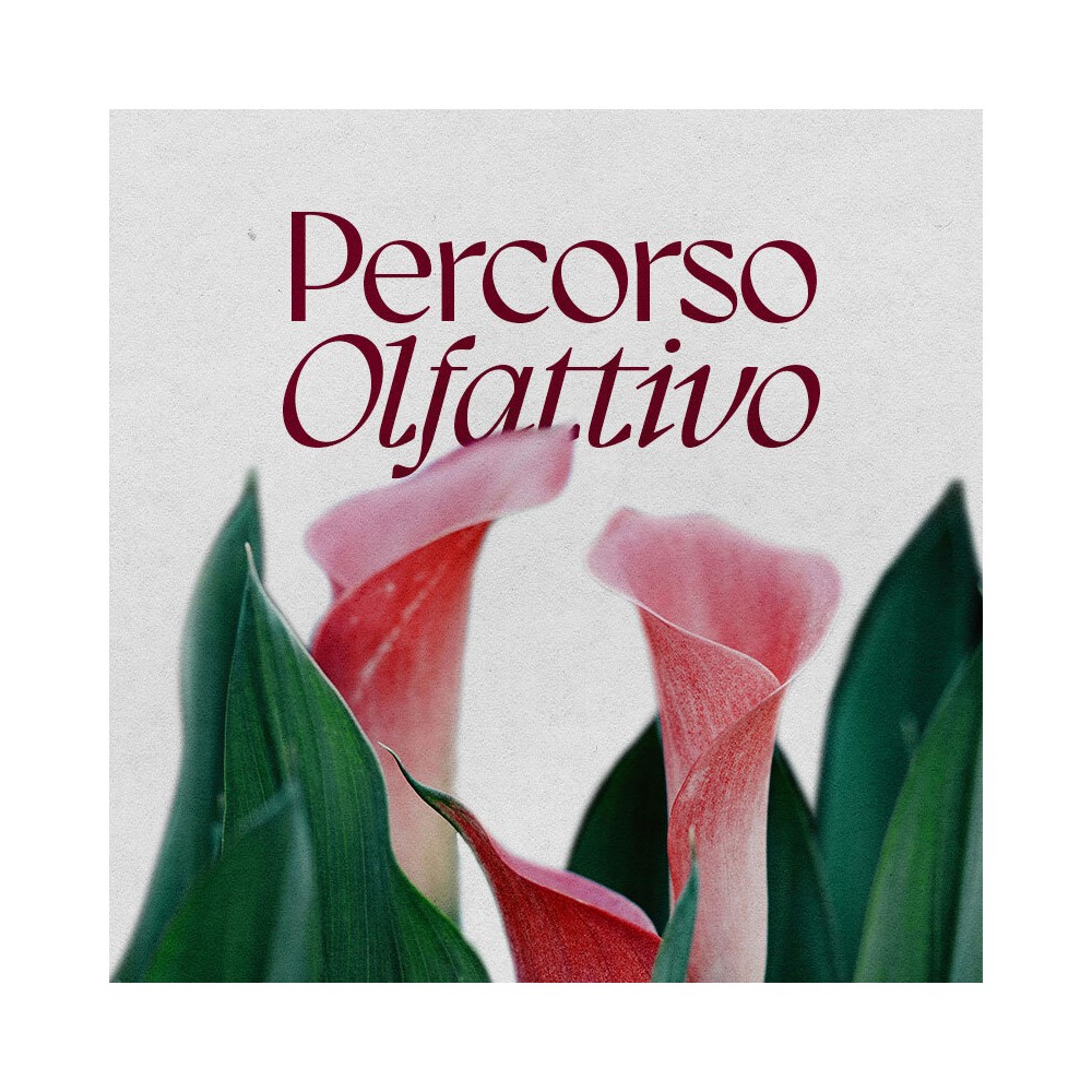 PERCORSO OLFATTIVO